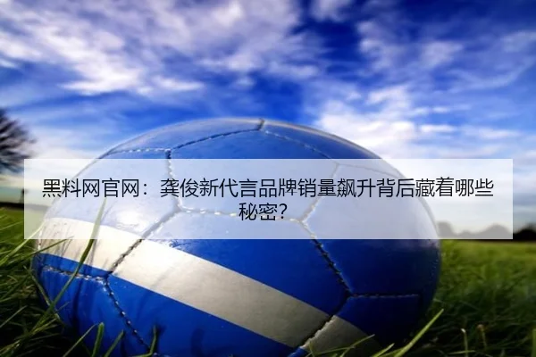 hei-liao-wang-guan-wang-gong-jun-xin-dai-yan-pin-pai-xiao-liang-biao-sheng-bei-hou-cang-zhe-na-xie-mi-mi-2-954.jpg